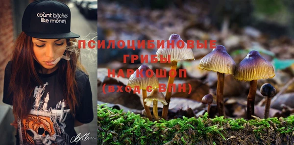 молекула духа Балахна