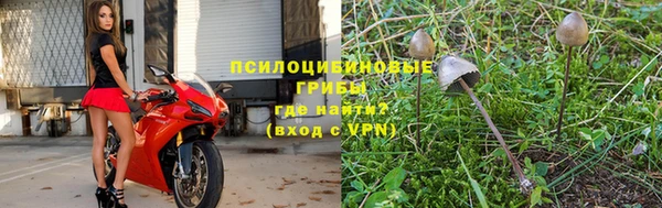 крисы Россошь