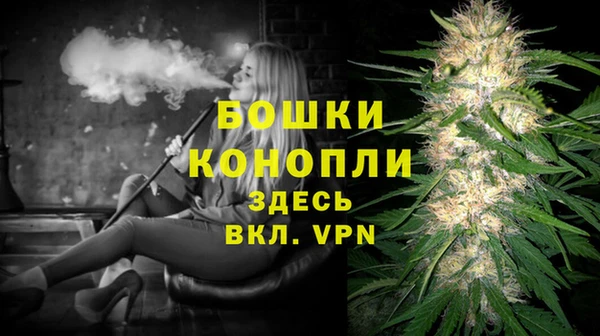 прущие грибы Рославль