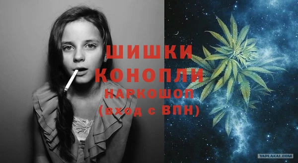 молекула духа Балахна